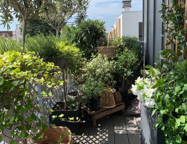 Comment Aménager son Balcon : Le Guide Complet