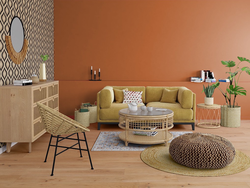 salon couleur terracotta